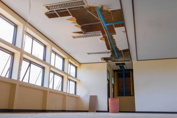 Best Commercial water damage restoration  in Bluewell, WV