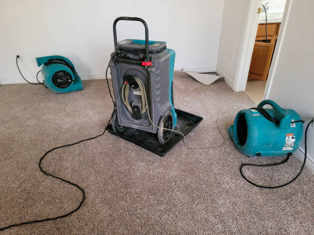 Professional Water damage restoration in Bluewell, WV