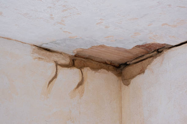 Best Water damage restoration near me  in Bluewell, WV