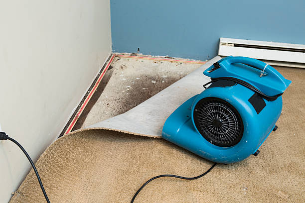 Fire Damage Restoration in Bluewell, WV